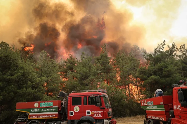 Sakarya ve Bilecik'te Süregelen Orman Yangınına Müdahale Yoğunlaştı