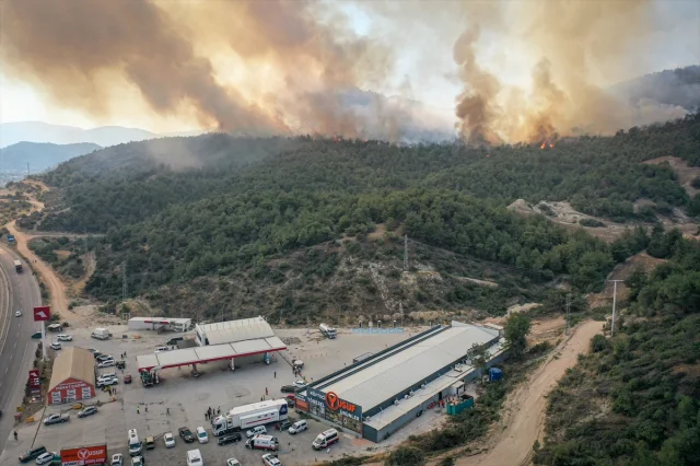Sakarya ve Bilecik'te Süregelen Orman Yangınına Müdahale Yoğunlaştı