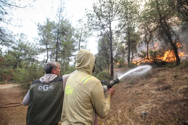Sakarya ve Bilecik'te Süregelen Orman Yangınına Müdahale Yoğunlaştı