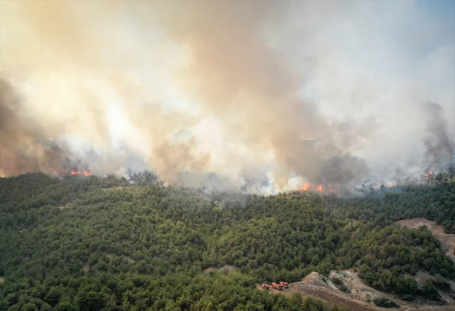Sakarya ve Bilecik'te Süregelen Orman Yangınına Müdahale Yoğunlaştı