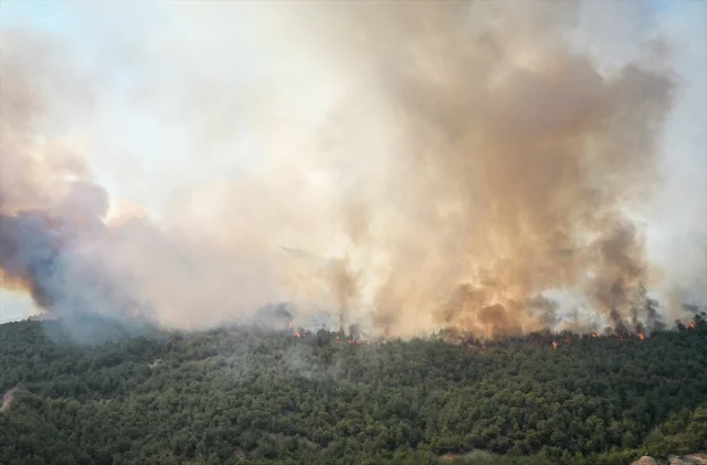 Bilecik ve Sakarya Ormanlarında Yangınla Mücadele Devam Ediyor