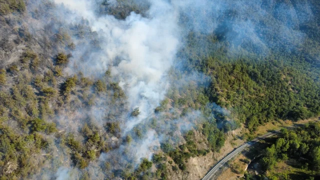Karabük'te Orman Yangınıyla Mücadele Sürüyor