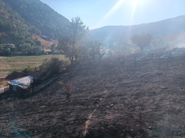 Tokat'ta Orman Yangını Alarmı Toplam 10 Dönüm Kül Oldu