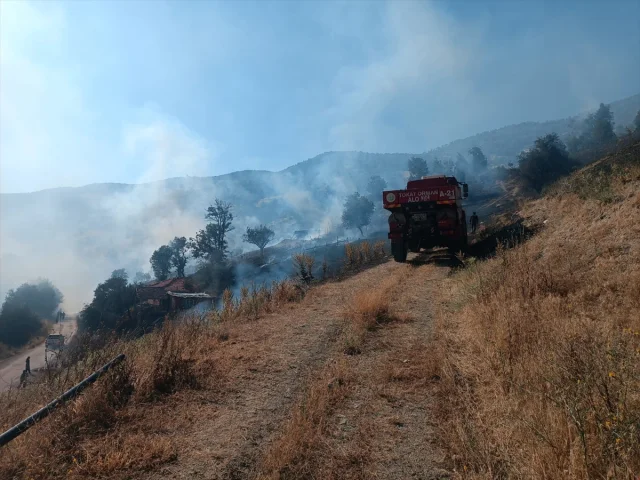 Tokat'ta Orman Yangını Alarmı Toplam 10 Dönüm Kül Oldu