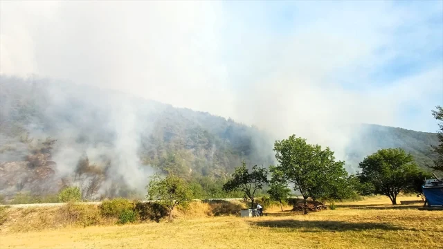 Karabük'te Orman Yangınıyla Mücadele Sürüyor