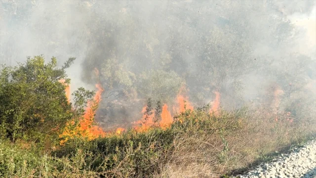 Karabük'te Orman Yangınıyla Mücadele Sürüyor