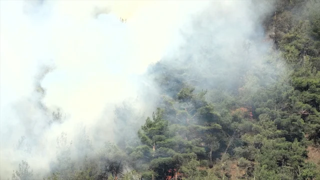 Karabük'te Orman Yangınıyla Mücadele Sürüyor