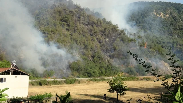 Karabük'te Orman Yangınıyla Mücadele Sürüyor