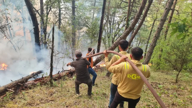 Karabük'te Orman Yangınıyla Mücadelede Seferberlik