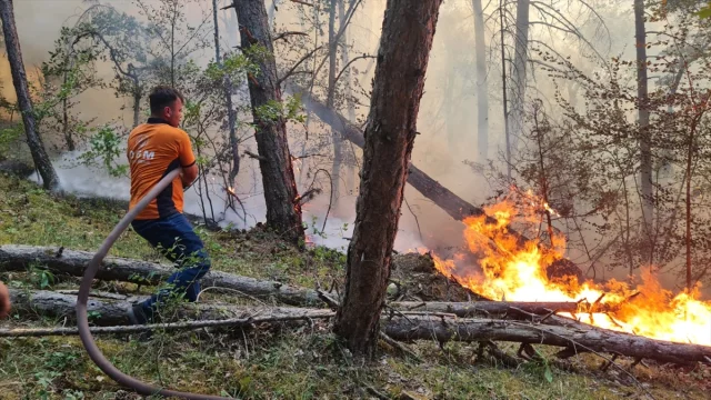 Karabük'te Orman Yangınıyla Mücadelede Seferberlik