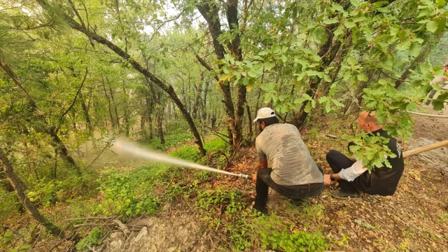 Karabük'te Orman Yangınıyla Mücadelede Seferberlik