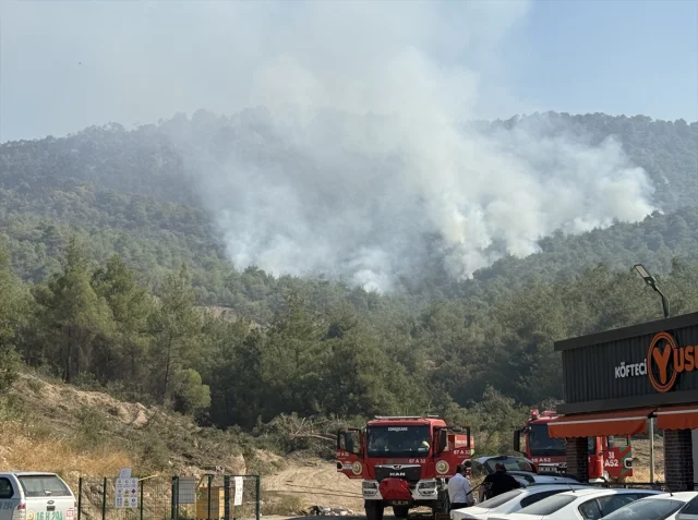 Sakarya Orman Yangını Büyüyerek Bilecik'e Sıçradı: Müdahalel...