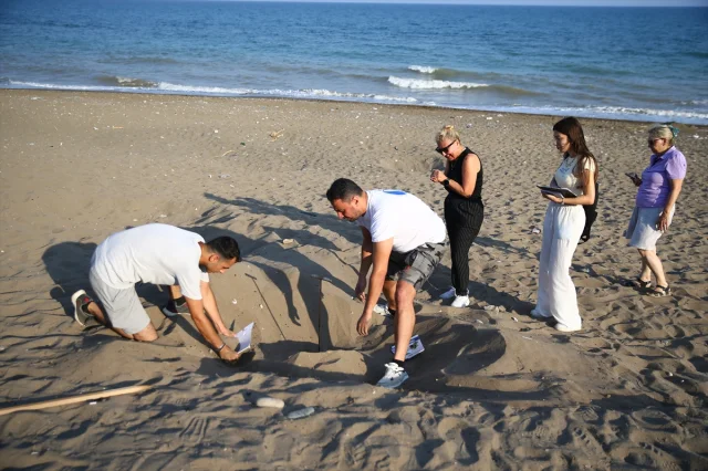 Mersin Kıyılarında Yavrular Denizle Buluşuyor