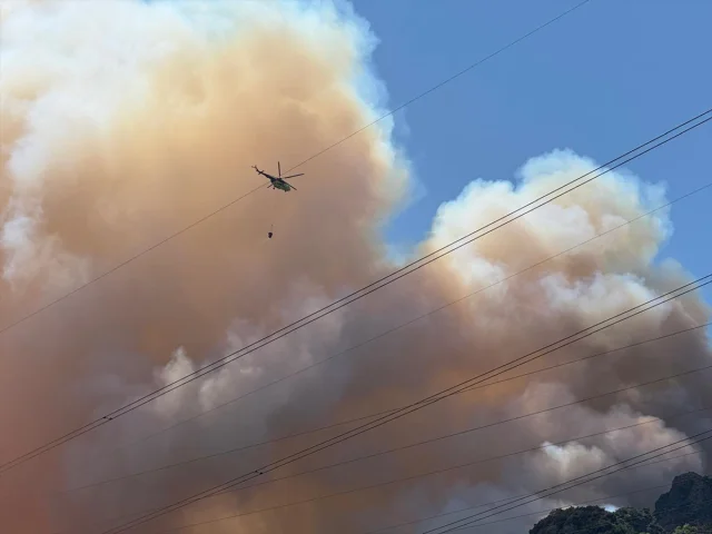 Sakarya'da Orman Yangınına Hızlı Müdahale