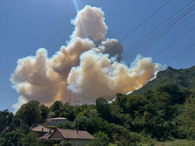 Sakarya'da Orman Yangınına Hızlı Müdahale