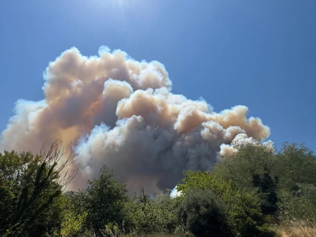 Sakarya'da Orman Yangınına Hızlı Müdahale