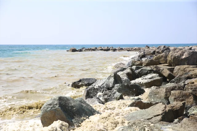 Hatay Arsuz Sahilinde Görülen Köpüklenmeye Bilimsel Açıklama