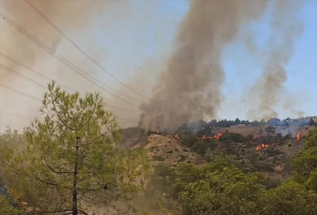 Denizli'nin Çal İlçesinde Orman Yangınına Hızlı Müdahale