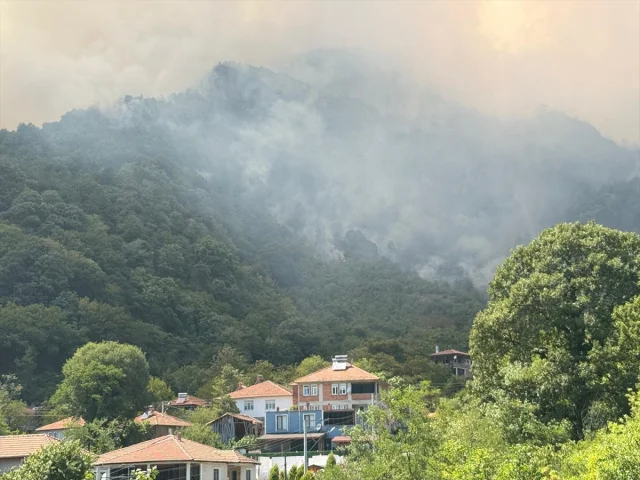 Sakarya'da Orman Yangını Kontrol Altına Alınmaya Çalışılıyor