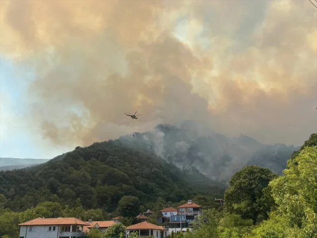 Sakarya'da Orman Yangını Kontrol Altına Alınmaya Çalışılıyor