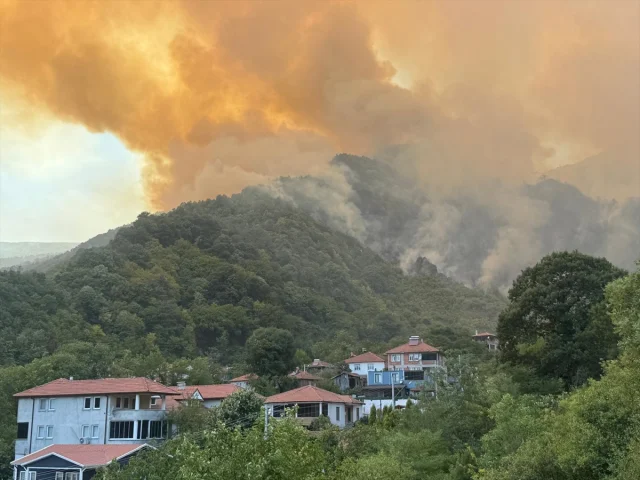 Sakarya'da Orman Yangını Kontrol Altına Alınmaya Çalışılıyor