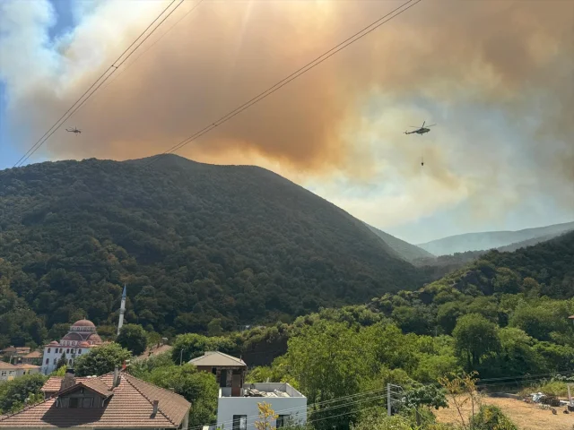 Sakarya'da Orman Yangını Kontrol Altına Alınmaya Çalışılıyor