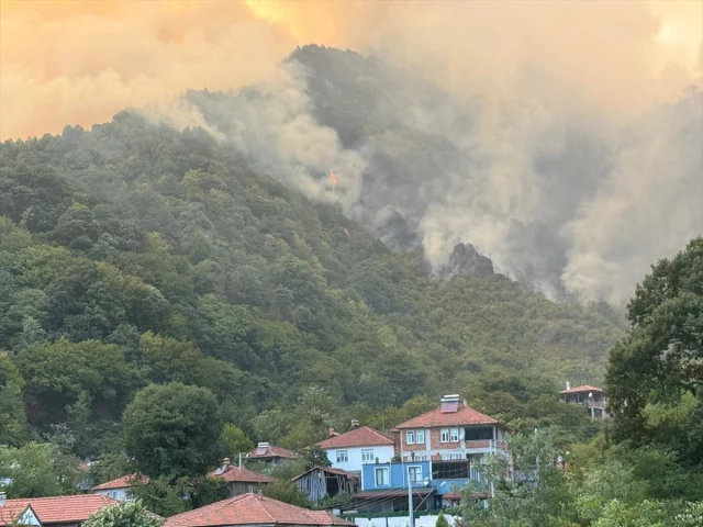 Sakarya'da Orman Yangını Kontrol Altına Alınmaya Çalışılıyor