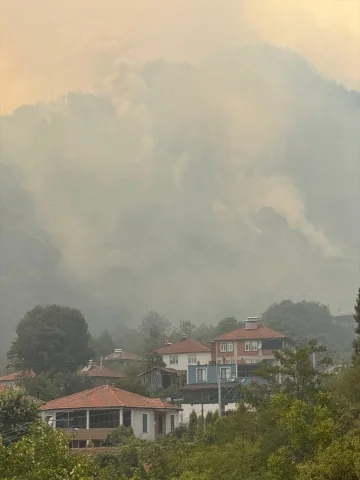 Sakarya'da Çıkan Orman Yangını Korkuttu