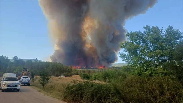 Karabük'teki Orman Yangını Kontrol Altına Alınmaya Çalışılıyor