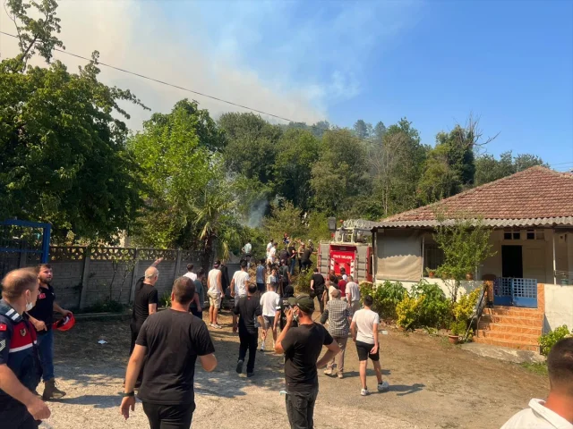 Sakarya'da Orman Yangını Kontrol Altına Alınmaya Çalışılıyor