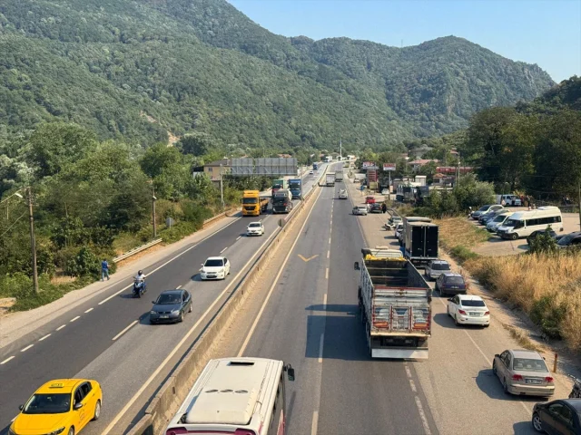 Sakarya'da Orman Yangını Kontrol Altına Alınmaya Çalışılıyor