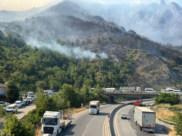Sakarya'da Orman Yangını Kontrol Altına Alınmaya Çalışılıyor