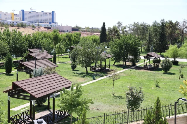 Şanlıurfa'da Aşırı Sıcaklık Rekoru Sosyal Yaşamı Etkiliyor
