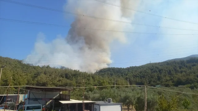 Manisa'da Orman Yangınıyla Mücadele Sürüyor