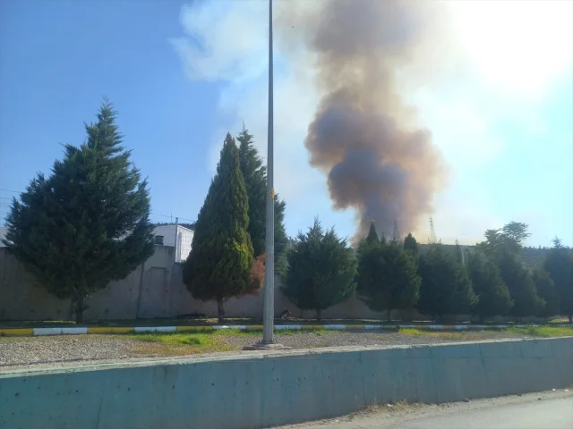 Manisa'da Orman Yangınıyla Mücadele Sürüyor