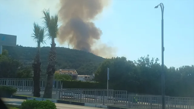 Manisa'da Orman Yangınıyla Mücadele Sürüyor