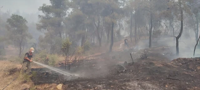 Sakarya ve Bilecik'teki Orman Yangını Günlerdir Kontrol Altı...