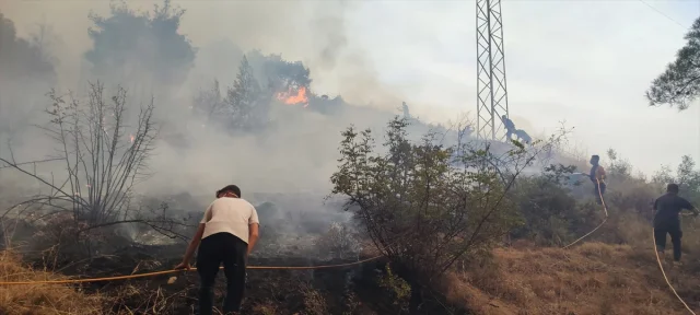 Sakarya ve Bilecik'teki Orman Yangını Günlerdir Kontrol Altına Alınmaya Çalışılıyor