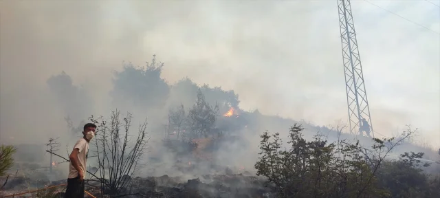 Sakarya ve Bilecik'teki Orman Yangını Günlerdir Kontrol Altına Alınmaya Çalışılıyor
