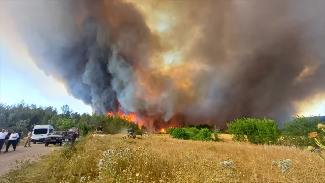 Karabük’te Orman Yangını Söndürme Çabaları Sürüyor