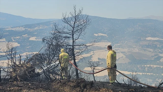 Denizli'nin Çal İlçesinde Orman Yangını Başarıyla Kontrol Altında