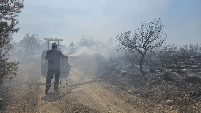Denizli'nin Çal İlçesinde Orman Yangını Başarıyla Kontrol Altında