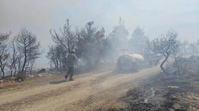 Denizli'nin Çal İlçesinde Orman Yangını Başarıyla Kontrol Altında