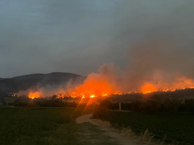 Sakarya ve Bilecik'te Yükselen Alevler Tehlike Saçıyor
