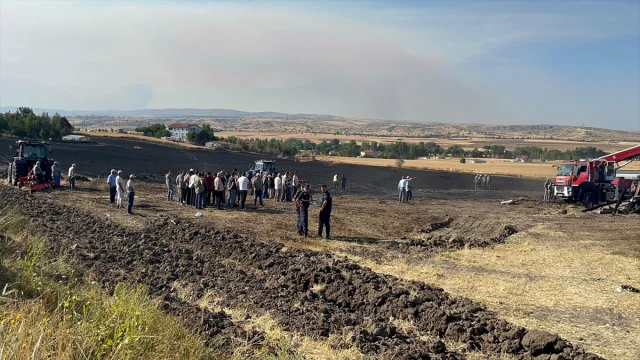 Çankırı'daki Büyük Yangında Tarım Arazileri ve Hayvanlar Zar...