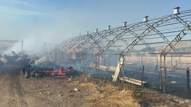 Çankırı'daki Büyük Yangında Tarım Arazileri ve Hayvanlar Zarar Gördü
