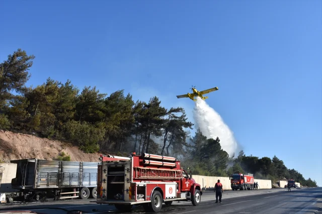 İzmir Kemalpaşa'da Ormana Sıçrayan Yangın Hızlıca Söndürüldü