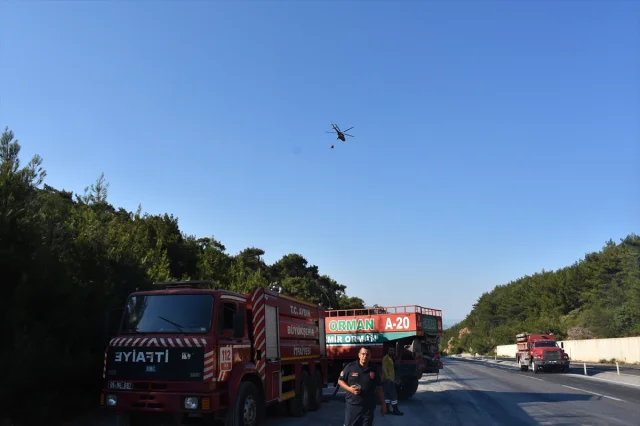 İzmir Kemalpaşa'da Ormana Sıçrayan Yangın Hızlıca Söndürüldü