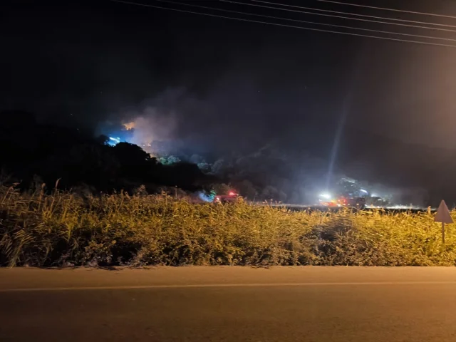 İzmir Dikili'de Çöplükte Başlayan Yangına Anında Müdahale