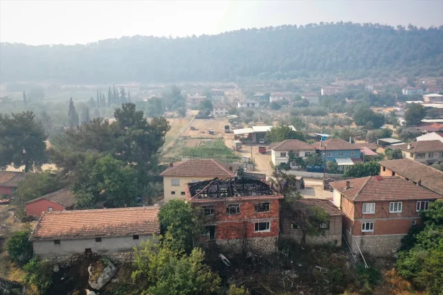 Sakarya'dan Bilecik'e Ulaşan Orman Yangınıyla Mücade Sürüyor